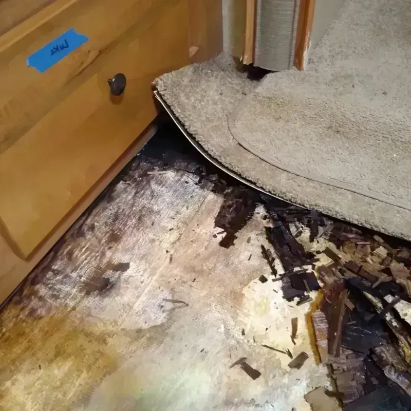 Wood Floor Water Damage in Butte, AK